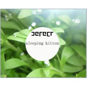 Download track Sleeping Kitten (R͘͡e҉҉́ ̕╼r҉̴͝e͟I͟ ̀͏c̢o̧̧rd̵̛͟ņ̸’̧g ̕) ๛ Defe [T