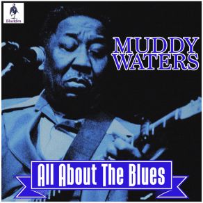 Download track Rollin' And Tumblin' (Part 1) Muddy Waters