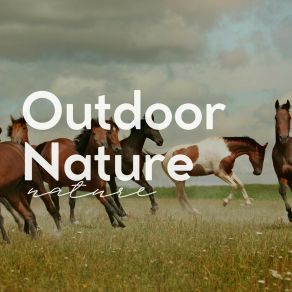 Download track Cannot Keep Spring From Coming Baltic Nature Sounds