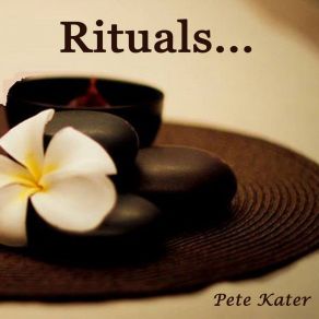 Download track Visualization Pete Kater