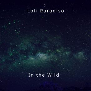 Download track Customs Lofi Paradiso