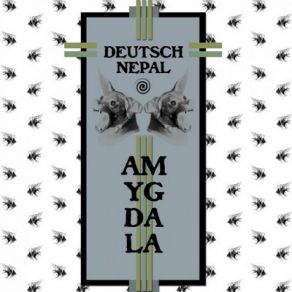 Download track Amygdala Deutsch Nepal