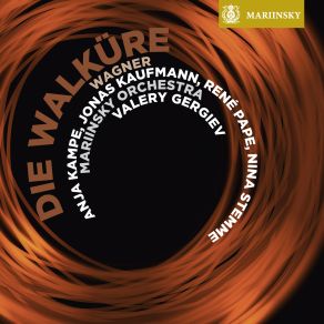 Download track Girl- Do Not Try Valery Gergiev, Mariinsky Orchestra