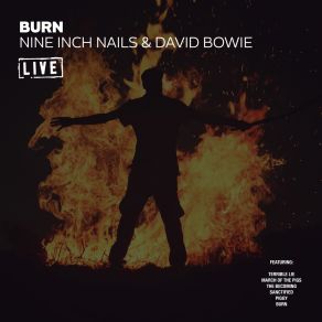 Download track The Voyeur Of Utter Destruction (Live) David Bowie