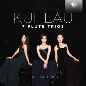 Download track Trio In D Major, Op. 13 No. 1: II. Andante Quasi Adagio Flute East Trio