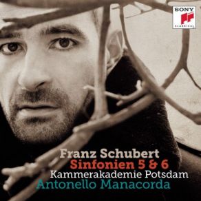 Download track Symphony No. 5 In B-Flat Major, D. 485 II. Andante Con Moto Kammerakademie Potsdam