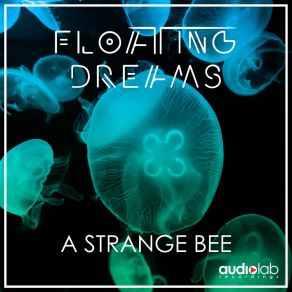 Download track I'm Coming To You Floating Dreams