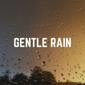 Download track Rain Playlist Natsound