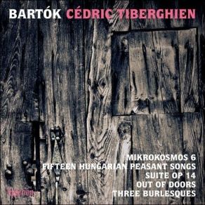 Download track 38 Mikrokosmos, Sz107 - Book 6 No. 150 Dance In Bulgarian Rhythm No. 1 Bartok, Bela