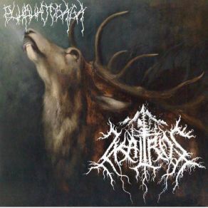 Download track The Dreamer's Fleeting Perception Of Time Skaltros