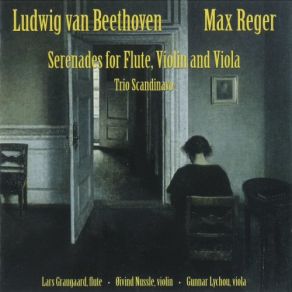 Download track Serenade In D Major, Op. 25: VI. Adagio - Allegro Vivace E Disinvolto (Original Mix) Lars Graugaard, Gunnar Lychou, Øivind Nussle