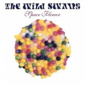 Download track I'm A Lighthouse The Wild Swans