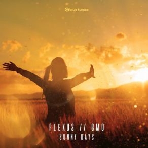 Download track Too Many Questions Flexus, Gmo
