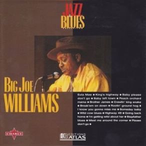 Download track I'm Getting Wild About Her Big Joe Williams