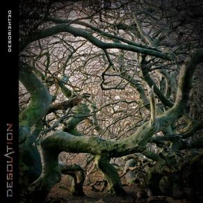 Download track Home Is Where The Heart Is The Desolation