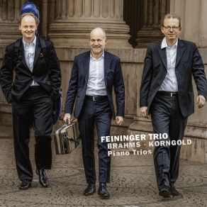 Download track Piano Trio In D Major, Op. 1 IV. Finale (Allegro Molto E Energico) Feininger Trio
