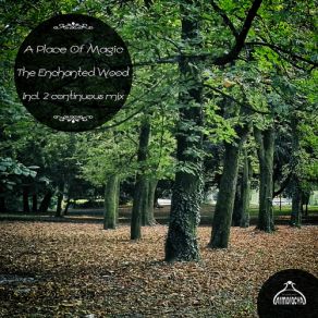 Download track Blue Diamond (Original Mix) A Place Of MagicNick Edwardson