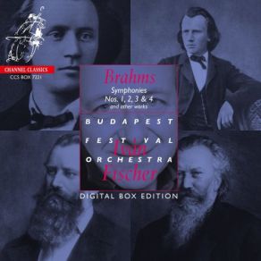 Download track Symphony No. 4 In E Minor, Op. 98: II. Andante Moderato Iván Fischer, Iván Fischer Budapest Festival Orchestra