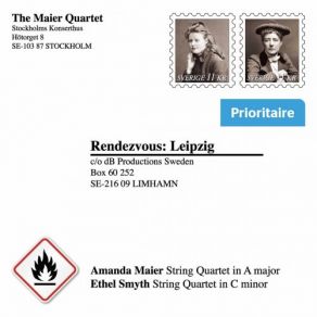 Download track String Quartet In A Major IV. Finale. Presto (Reconstr. By B. T. Andersson) The Maier Quartet