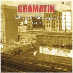 Download track What More Can I Say Gramatik