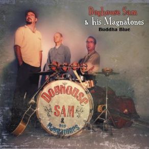 Download track It Ain T Easy Doghouse Sam & His Magnatones