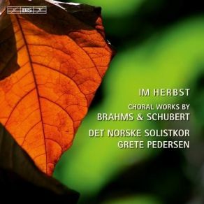 Download track 7. Brahms: 11 Zigeunerlieder Op. 103 - 9. Weit Und Breit Det Norske Solistkor