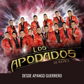 Download track No Señor Apache / La Culebra Los Apodados De Iguala