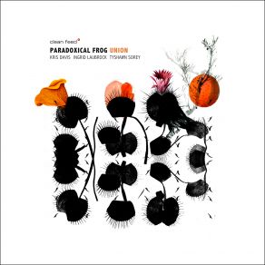 Download track Repose Paradoxical Frog