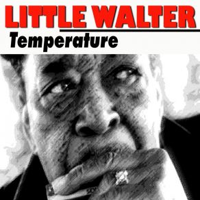 Download track Confessin The Blues Little Walter