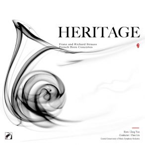Download track Horn Concerto No. 2 In E-Flat Major, TrV 283 III. Rondo. Allegro Molto Chen Lin, Zeng Yun, Central Conservatory Of Music Symphony Orchestra