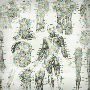 Download track Unemployed Heartbeat
