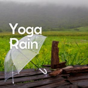 Download track Knowingly Rain Clear Mind Raining