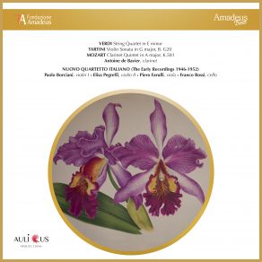 Download track String Quartet In E Minor: II. Andantino Nuovo Quartetto Italiano