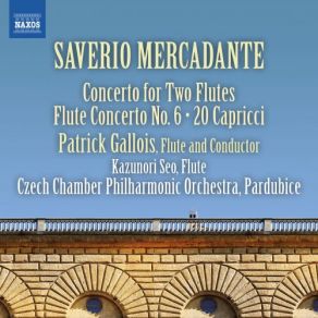 Download track Flute Concerto No. 6 In D Major: I. Allegro Maestoso Patrick Gallois, The Czech Chamber Philharmonic Orchestra Pardubice