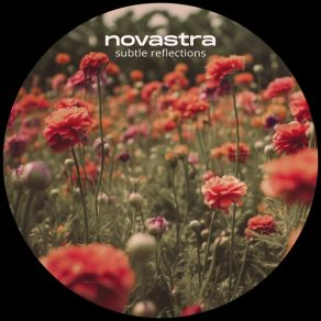 Download track Subtle Reflections Novastra