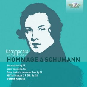 Download track Hommage À Robert Schumann, Op. 15d III. … Und Wieder Zuckt Es Schmerzlich F. Um Die Li' Kammerata Luxembourg