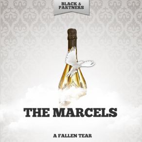Download track Find Another Fool Marcels