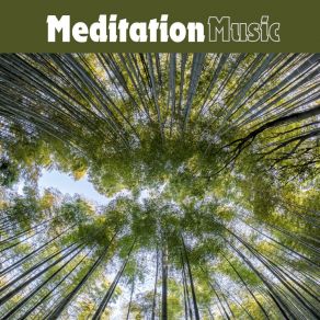 Download track Harmonious Flow Balanced Mindful Meditations