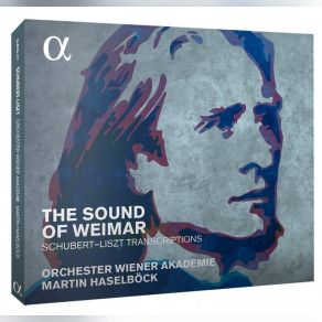Download track Wanderer-Fantasie, S 366 (After F Schubert): I Allegro Con Fuoco, Ma Non Troppo Wiener Akademie, Martin HaselbockAfter..., Schubert