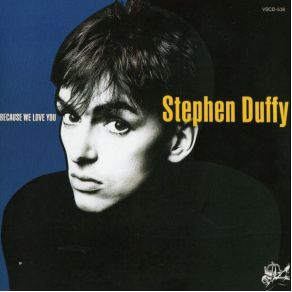 Download track Why Shouldn'T I Stephen Duffy