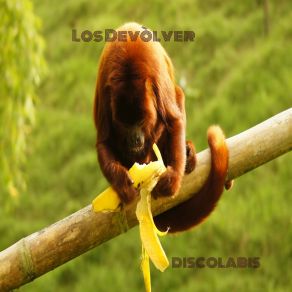 Download track Kebabs Y Pizzas Los Devòlver