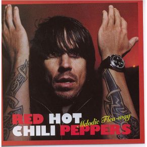 Download track Under The Bridge The Red Hot Chili Peppers