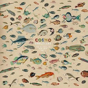 Download track Linger A While (Instrumental) ΟΡΓΑΝΙΚΟ, Cosmo Sheldrake