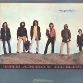 Download track I'm Not A Juvenile Delinquent Amboy Dukes