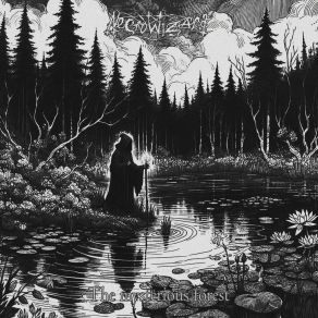 Download track Forhekset Myr NecroWizard