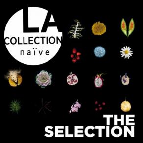 Download track The Four Seasons, Concerto In F Minor, RV 297, Op. 8, No. 4,