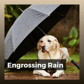 Download track It's Raining Outside, Pt. 19 The Sound Of The Rain