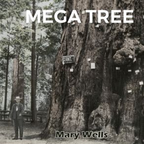 Download track What's Easy For Two Is Hard For One Mary Wells