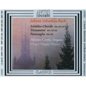 Download track 13. Triosonate Nr. 5 C-Dur BWV 529 - 1. Allegro Johann Sebastian Bach