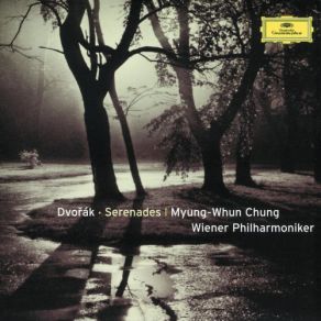Download track Serenade For Wind In D Minor, Op. 44: 4. Finale (Allegro Molto) Myung Whun Chung, Wiener PhilarmonikerMartin Gabriel
